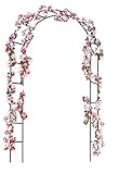 rg-vertrieb Rosenbogen Torbogen Garten Rankhilfe Pergola Spalier Rankgitter 240cm M