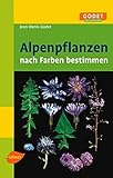 Alpenpflanzen: Nach Farben b