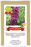 Wilde Malve - Dunkelviolett - Bienenweide - Malva sylvestris var. mauritiana - Zier-/Arzneipflanze - 250 S