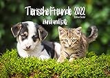 Tierische Freunde Hund und Katze Kalender 2022 DIN A3 Wandkalender Tiere Hunde Katzen Freundschaft Welp