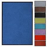 Floordirekt Schmutzfangmatte Monochrom | Fussmatte in 10 Größen & 8 Farben | Türmatte für innen & außen (90 x 120 cm, Blau)