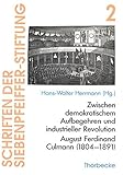 Zwischen demokratischem Aufbegehren und industrieller Revolution: August Ferdinand Culmann (1804-1891) (Schriften der Siebenpfeiffer-Stiftung, Band 2)