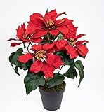 Weihnachtsstern im Topf 36cm rot PF künstliche Poinsettie Blume Pflanze Kunstblumen Kunstb