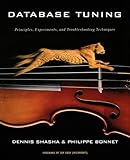 Database Tuning: Principles, Experiments, and Troubleshooting Techniques (The Morgan Kaufmann Series in Data Management Systems)