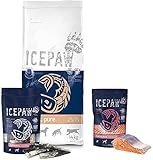 ICEPAW I Kombipaket für Hunde I High Premium Trockenfutter Nordic Pure (14 kg) I Feuchtfutter Lachs Pure (400 g) I Lachssticks (100 g)