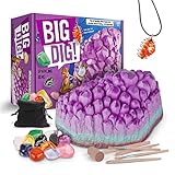 BJYX Jungen Spielzeug 2021 neues pädagogisches archäologisches Ausgrabung Spielzeug Edelstein Ausgrabung Spielzeug (Color : Purple, Size : 28 * 23 * 14CM)