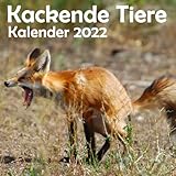 Kackende Tiere Kalender 2022: Kalender 2022 Lustige Tiere | Geschenke für Tierliebhaber Männer Madchen Menschen Erwachsene Frauen Kinder Geburtstag W