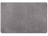 Famibay Fußmatte Eingangsbereich Innen Schmutzfangmatte Wasserabsorbierend Türmatte rutschfest Eingangsmatte Waschbar Fußabtreter Gummi Groß Haustür Teppich Mikrofaser Sauberlaufmatte 80 x 120