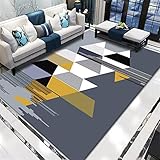 joop Teppich grau Grauer Wohnzimmerteppich Abstrakter geometrischer moderner strapazierf?higer Teppich weich Teppich klein 50X80CM Kinder Teppich 1ft 7.7''X2ft 7.5''