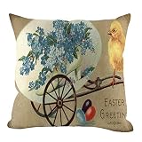 Briskorry Ostern Kissenbezug Kissenbezugen Home Deko Kissenhülle für Sofakissen Dekokissenhülle Zierkissenbezüge mit Unsichtbarem Reißverschluss 45x45