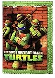 Teenage Mutant Ninja Turtles Münztasche grün (grün)