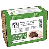 Humusziegel - Hochbeet Aussaaterde - 27 L - 3 x 650 g Blumenerde aus Kokosfaser - natürlich & torffrei - geeignet als Palmenerde, Erde für Zimmerpflanzen, Chili Erde,