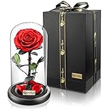 YourRoses® echte Premium Rose im Glas Geschenkbox | Lange Haltbarkeit & edles Geschenk als Liebesbew