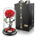 YourRoses® echte Premium Rose im Glas Geschenkbox | Lange Haltbarkeit & edles Geschenk als Liebesbew