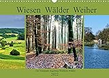 Wiesen Wälder Weiher. Der Naturpark Augsburg-Westliche Wälder (Wandkalender 2022 DIN A3 quer) [Calendar] Lutzenberger, Monik