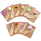 Grußkarten 10 Stück geburtstagskarten set Retro Kraftpapier-leere Umschläge Getrocknet Blumen Verzierte Postkarte Unbelegte Weihnachten Geburtstag Valentinstag Muttertag