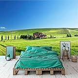 Benutzerdefinierte 3D-Fototapete Naturlandschaft Landschaft Grasland für Schlafzimmer TV Sofa Hintergrund Heimtextilien Vliespapier-300x210