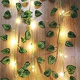 MZXUN LED-Efeuranken-Lichterkette, 2 m lang, batteriebetrieben, 2 AA oder 3 AA-Batterie, kompatibel mit Heim- und Hochzeitsdekorationslichtern (Farbe 5)