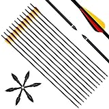 Narchery 12 Stück Pfeile, 31 Zoll Carbonpfeile Bogenpfeile mit Kunststoffbefiederung für Bogen, Recurvebogen, Langbogen und traditionellen Bog