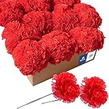Yyhmkb 100 rote Seidennelken, künstliche gefälschte Blumen für Blumensträuße, Hochzeiten, Friedhof, Kunsthandwerk &Amp; Kränze, Stielpick R