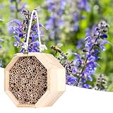 Insektenhaus Holz Insektenhaus Bienenhaus Holz Käfer Zimmer Hotel Nistkasten für Outdoor Garten Dek