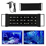 Lueigmo LED Aquarium Beleuchtung, Aquariumbeleuchtung Lampe Weiß Blau Licht 12W Universal Aquarium Lampe mit Verstellbarer Halterung für Süßw
