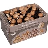 Große 10kg Steinchampignon Pilzzuchtbox XXL I Hawlik Pilzbrut I kinderleicht Pilze selber züchten I ohne Vorkenntnisse I Geschenk