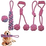 Hundespielzeug Seil mit Knoten Ball, 5 Stück Kauen Hundespielzeug Set für Kleine Hunde/ Mittlere, Welpenspielzeug Hunde Intelligenz Spielzeug für Welpe kleine mittel große H