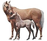 alles-meine.de GmbH XXL Wandtattoo / Sticker -  Pferd / Stute - Hengst mit Fohlen  - braun Pferde Araber Pferdesticker - Wandsticker Aufkleber - Wandaufkleber - Pferdefan - fü