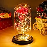 JUSTDOLIFE Red Glitter Eternal Rose Under Bell, Eternal Rose, Enchanted Rose with LED Lights in Glass Dome Great for Wife, Mothers Day,Girls Birthday,Wedding