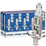 Xenohype 10x H1 Classic Halogen Auto Lampe 12V 55 Watt P14, 5