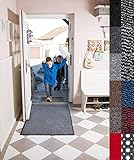 Carpet Diem Rio Schmutzfangmatte - 5 Größen - 10 Farben Fußmatte mit äußerst starker Schmutz und Feuchtigkeitsaufnahme - Sauberlaufmatte in hell grau - schwarz 80 x 120