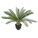 hjh OFFICE Kunstpflanze Cycas Palme Höhe 70 cm Grün 24 Palmwedel Kunstpalme klein Cycaspalme Palmfarn künstlich, 871004