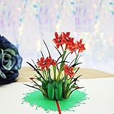 YCDtop 2Pcs 3D Pop Up Alles Gute Zum Geburtstag Grußkarten Einladungskarte Alles Gute Zum Muttertag Liebe Mama Papa Rose Blume Danke Geschenkk