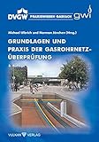 Grundlagen und Praxis der Gasrohrnetzüberprüfung (Praxiswissen Gasfach)