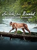 Zurück zum Urwald - Der Nationalpark Kalkalpen (4K UHD)