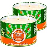 Aottom Citronella Kerze Outdoor groß, 2 x 400g Outdoor Kerzen Natürliche Sojawachs Zitronella Kerze Garten mit 3 Docht Citronella Duft Kerze für Garten | Camping | Picknicks | 160 Stunden B