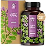 Holi Natural® Astragalus Extrakt 10:1 | 30% Polysaccharide | 120 vegane Kapseln | 2000mg je Tagesdosis | 10% Saponine | ECHTER Tragant Hochdosiert & Laborgeprü