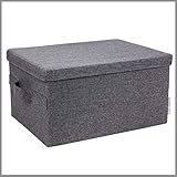 BIGSO BOX OF SWEDEN große Aufbewahrungsbox mit Deckel und Griff – Schrankbox aus Polyester und Karton in Leinenoptik – Faltbox für Kleidung, Decken, Spielzeug usw.- g