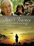 Jane's Journey