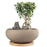 MUZHI Bonsai-Topf aus Keramik, rund, unglasiert, mit Bambus-Tablett, groß, grobe Töpferei, Sukkulenten, mit Ablaufloch, 20,3