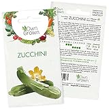 Zucchini Samen: Premium Zucchini Saatgut für die Anzucht von ca. 5 Zucchini Pflanzen – Samenfeste Gemüse Samen – Samen Gemüse – Gemüse Pflanzen Samen für Gemüse Anzucht – Gemüse Saatgut von OwnGrow