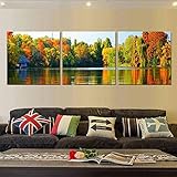 3 Packung DIY 5D Diamond Painting Kits Bunter Waldsee,Diamond Painting Bilder Bohren voll für Erwachsene Kinder Strass Stickerei Kreuzstich Kunst Handwerk Hause Wand Dekor Square Drill,30x30