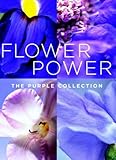 Flower Power: The Purple Collection Small Note Cards in a Two-Piece Box (Potter Style)