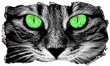 Chicbanners V111 Wandtattoo, Motiv Katze, Kätzchen, Katzen, Gesicht, Augen, 3D-Effekt, selbstklebend, Größe 1000 mm breit x 600