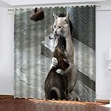 TTBBBB Vorhang Blickdicht Katze Tier Hund B 150 x H 166 cm Gardinen Verdunkelungsvorhang Schlafzimmer Kinderzimmer Thermovorhang Fensterdekoration 3D Muster Ösen schal 2Er S