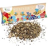 Bienenwiese Blumenmischung: 100g Premium Bienen Saatgut für bunte Bienenweide, Bienen und Hummelmagnet - bienenfreundliche Blumensamen Mischung ein- und mehrjährig - Blumenwiese Samen von OwnGrow