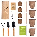 adfafw Anzucht Set, Pflanzen Samen Garten Starter Set, Öko Saatgut mit Holzkiste, Mini Gewächshaus, Kinderküche Zubehör, Biologisch Abbaubar, für Blumen & Kräuter masterly