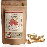 SPINTZ 420 Stk. Bio Hagebutten Kapseln - hochdosierte Hagebutten Tabletten - 500mg Hagebuttenpulver aus biologischem Anbau - vegan, natürlich - Superfood - gemahlene Hagebutte | plastikfrei verpack