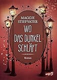 Wo das Dunkel schläft (Band 4): Entdecke die spannende Mischung aus Fantasy, Romantik und Spannung - Fantasyroman ab 14 J